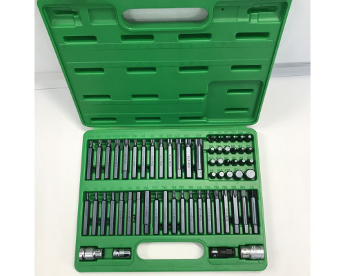Профессиональный набор бит TORX, HEX, SPLINE, RIBE, SQ 60ед. TOPTUL GCAI6003